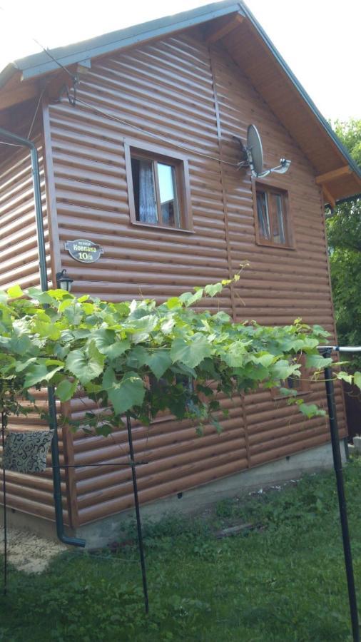 Базилік Hotel Yaremche Luaran gambar