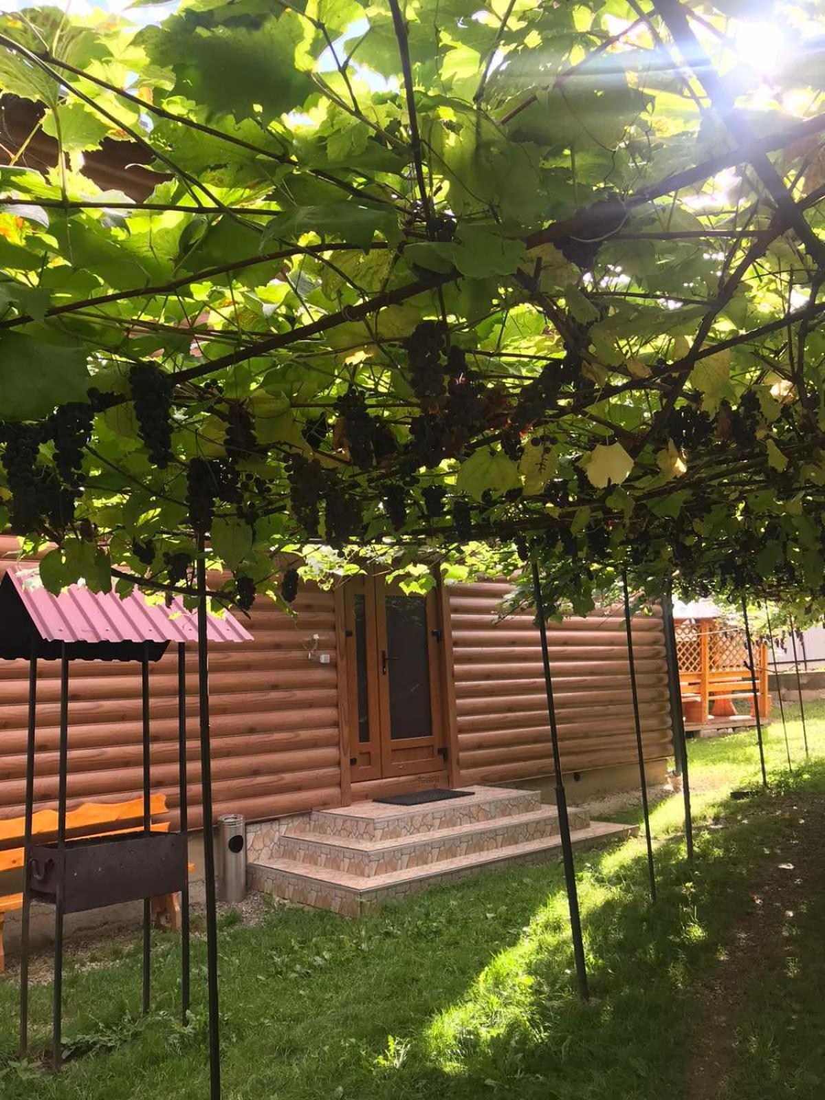 Базилік Hotel Yaremche Luaran gambar