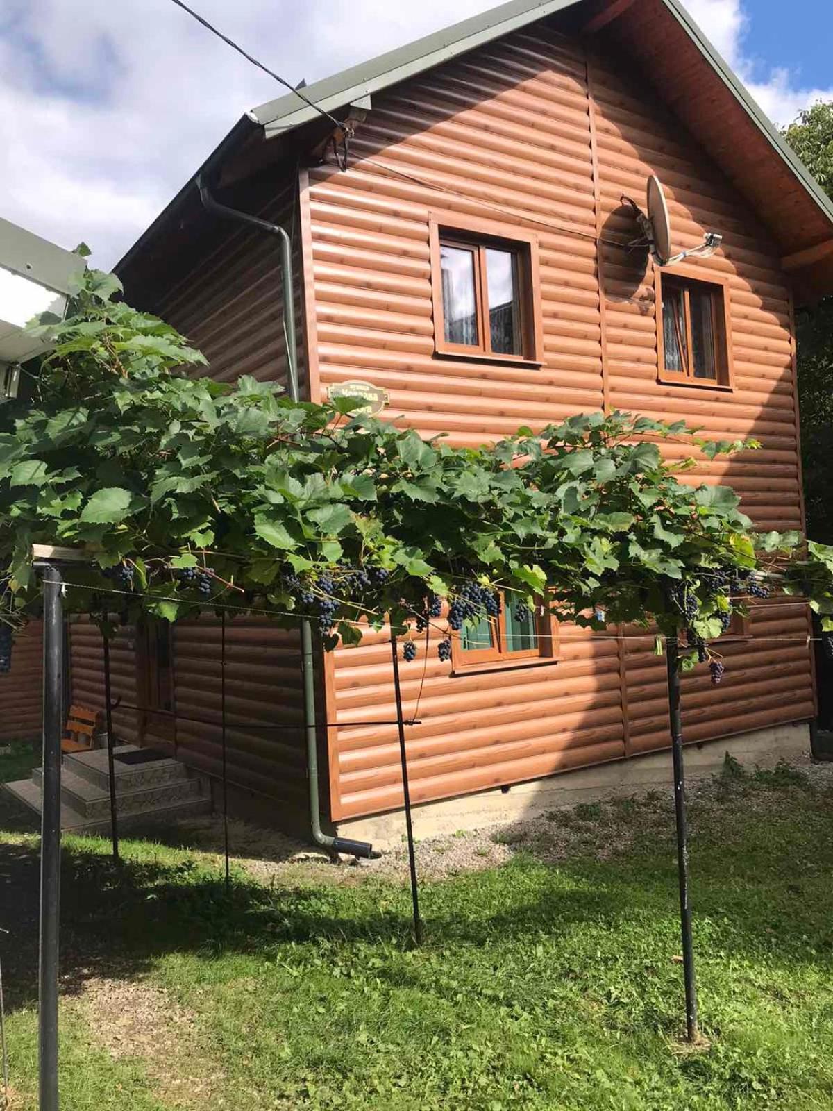 Базилік Hotel Yaremche Luaran gambar
